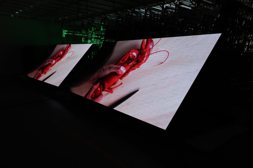 IMG8529 LED Display Manufacturer in China EagerLED