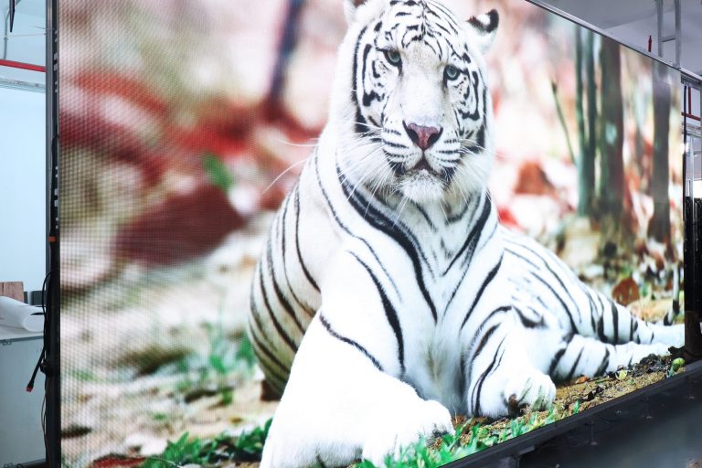 P4 Indoor 640×480 Die Casting Cabinet LED Screen to Papua New Guinea (6)