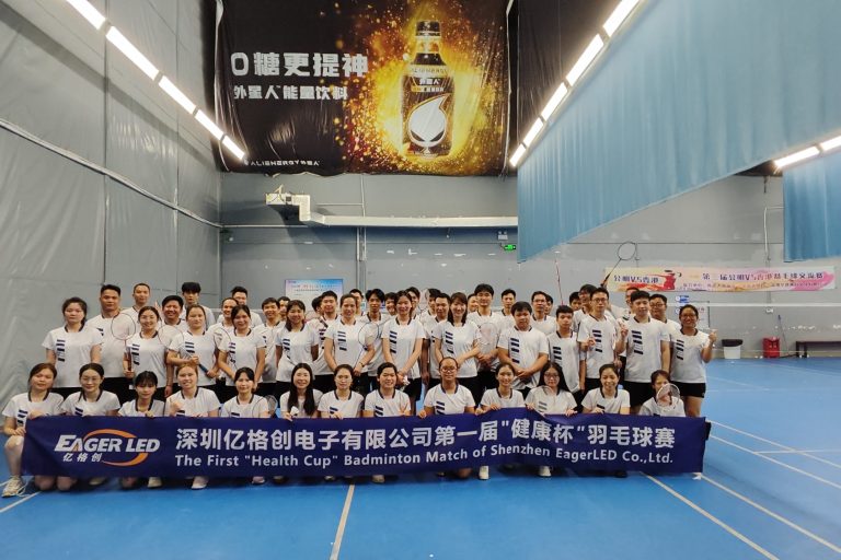 EagerLED LED Display Company Badminton Game