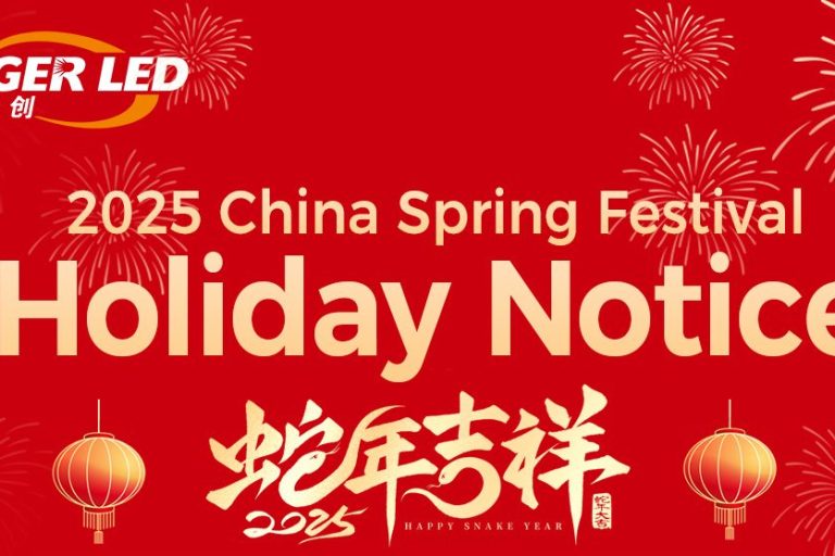 2025 Spring Festival Holiday Notice