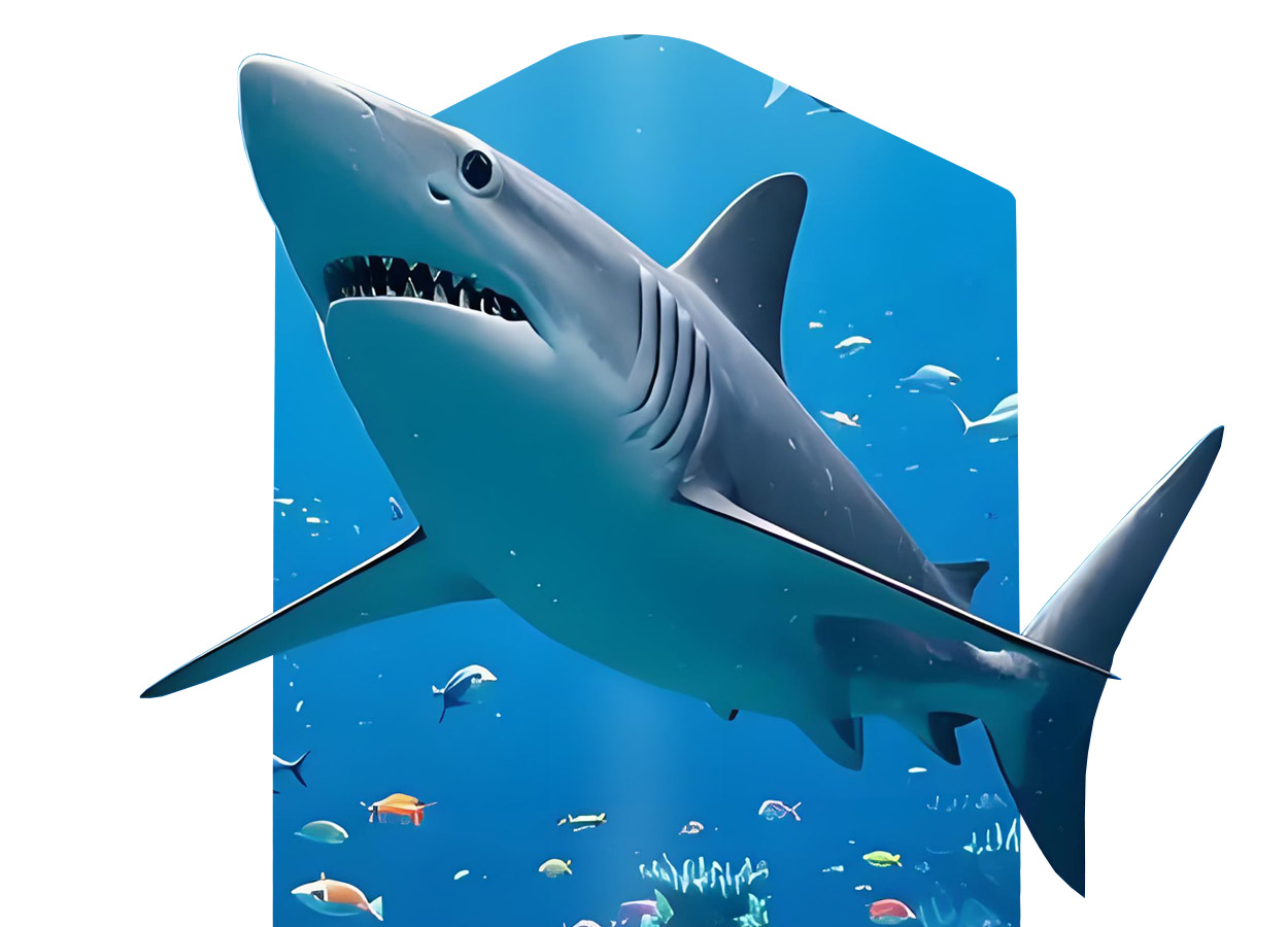 3D LED Poster Display 3 LED Display Manufacturer in China EagerLED