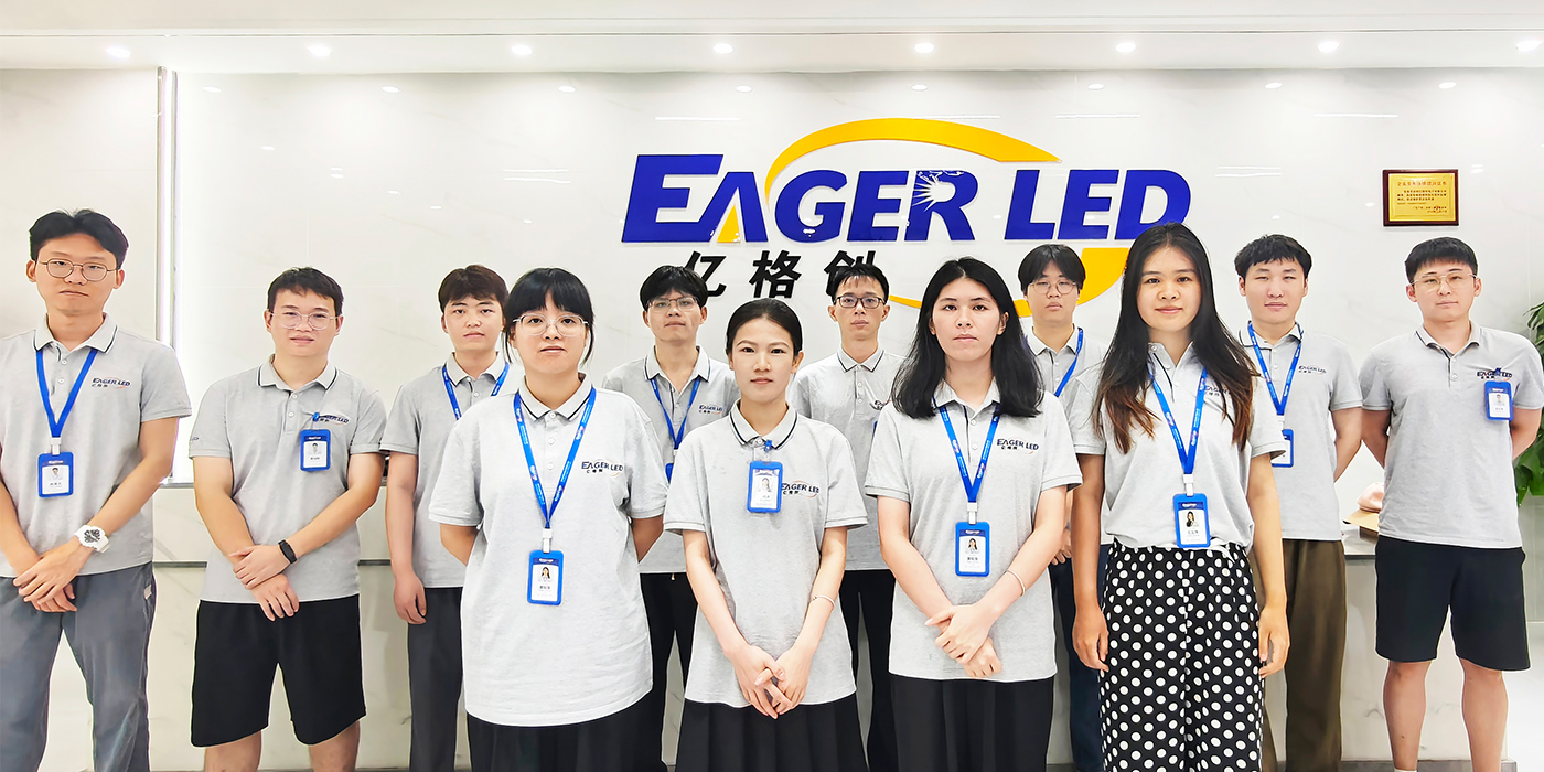 MarketingDepartment LED Display Manufacturer in China EagerLED