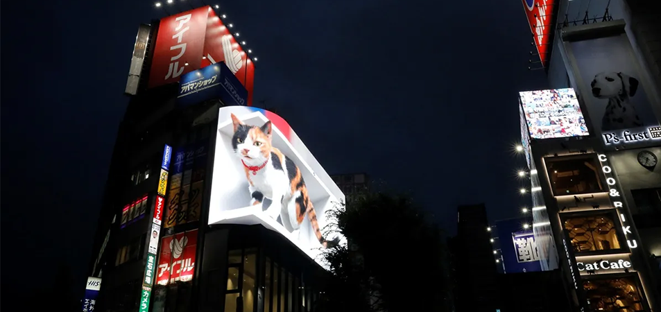 3D billboardCross Shinjuku Visions Giant Cat LED Display Manufacturer in China EagerLED Nighttime urban street with a large illuminated cat billboard on a building and neon signs outside